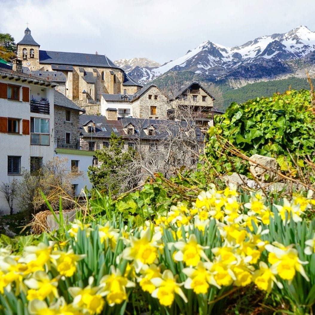 Visita guiada valle de Tena