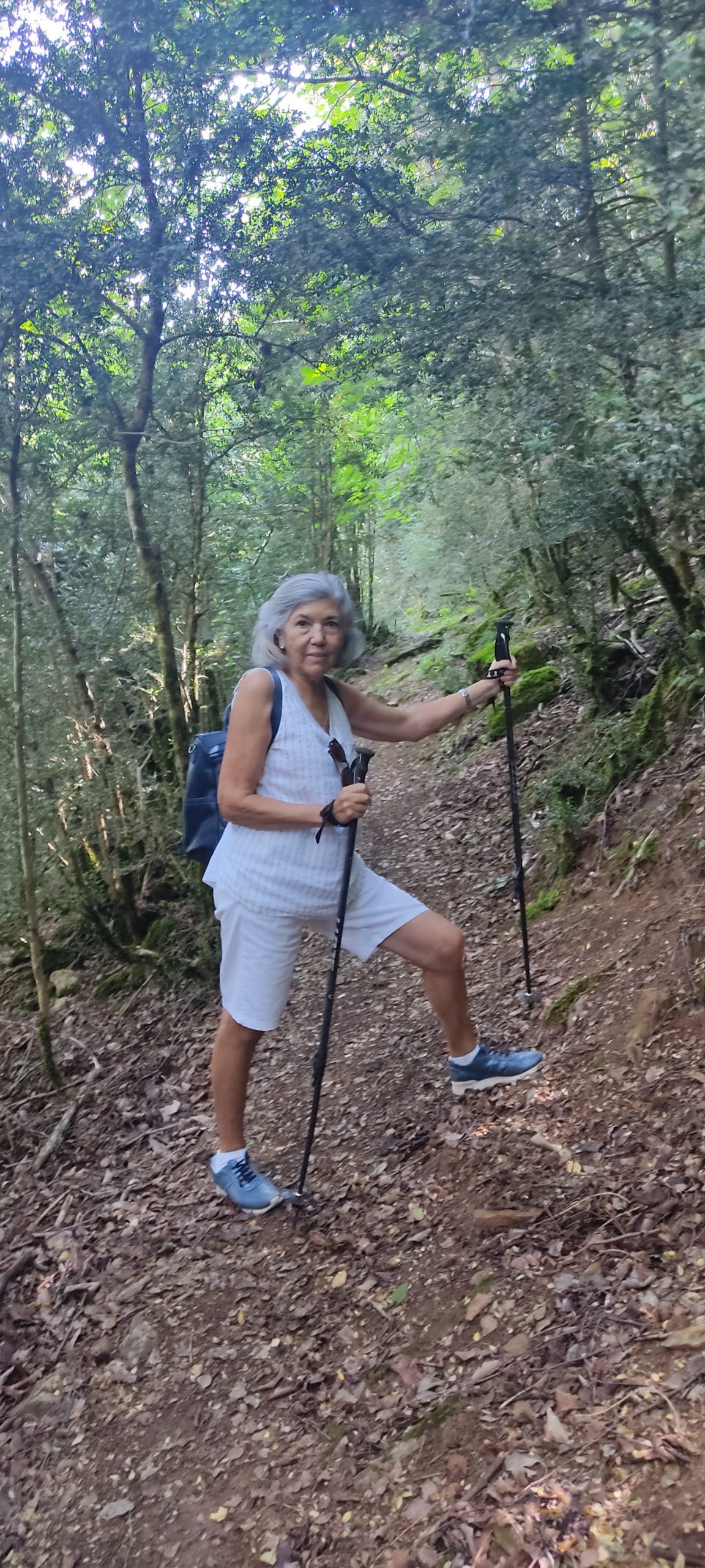 Paisaje pastoril Hoz de Jaca Pirineo