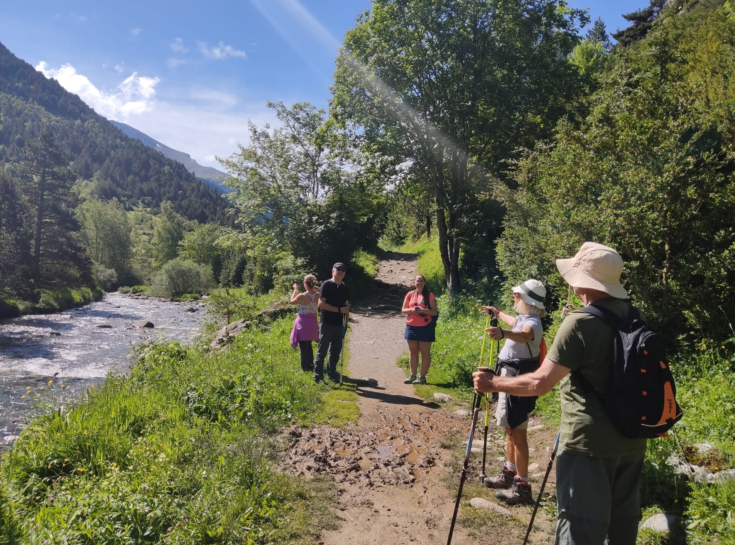 Flora pirenaica Ordesa-Viñamala